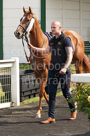 Great Yarmouth  Race Six 11th Aug 2021 0426