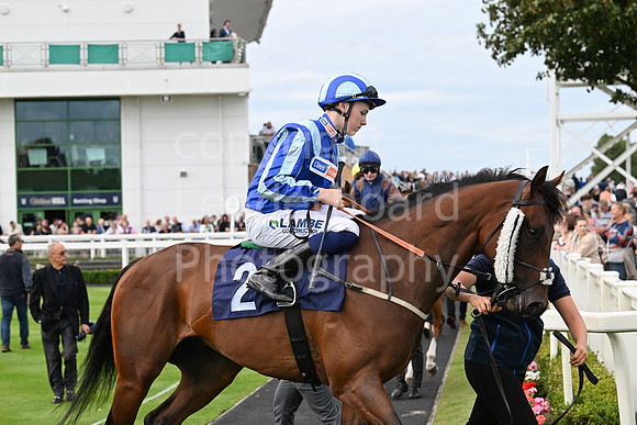 Gt_Yarm_25_Aug_Family_Raceday_2024-191