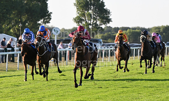 Gt_Yarm_Ladies Night_2025-106