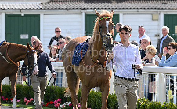 Gt_Yarm_25_Aug_Family_Raceday_2024-84