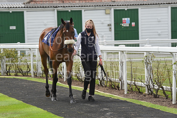 Great_Yarm_Racing_15July-11