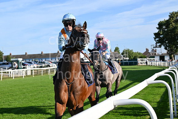 Gt_Yarm_Ladies Night_2025-59