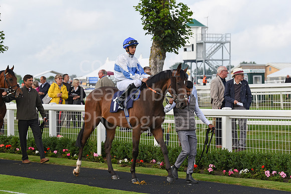 Gt_Yarm_Races_19_July_2023-11