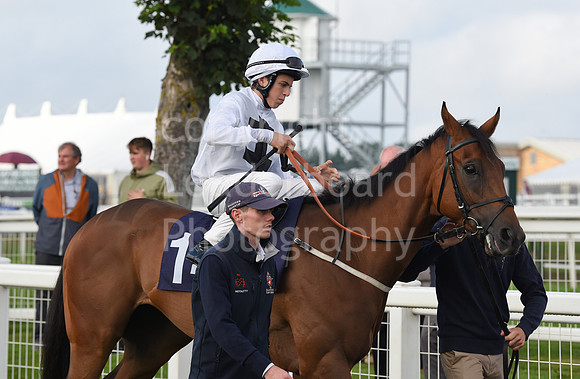Gt_Yarm_Races_19_July_2023-15
