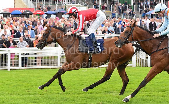 Gt_Yarm_Races_19_July_2023-67