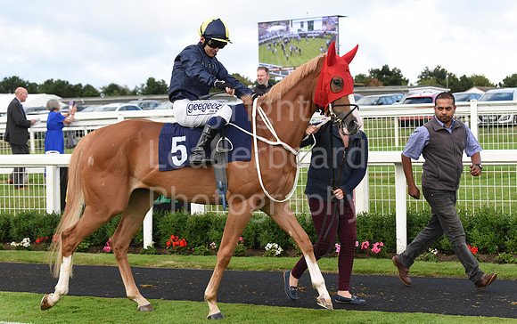 Gt_Yarm_Races_19_July_2023-129