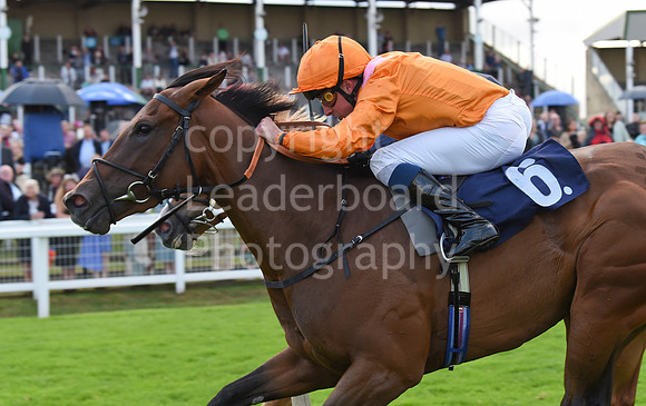 Gt_Yarm_Races_19_July_2023-143