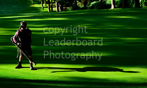 LBM_2550