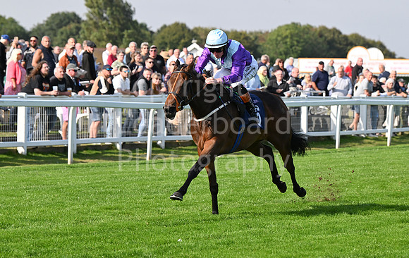Gt_Yarm_Eastern_Fest_18_Sept_2024-68