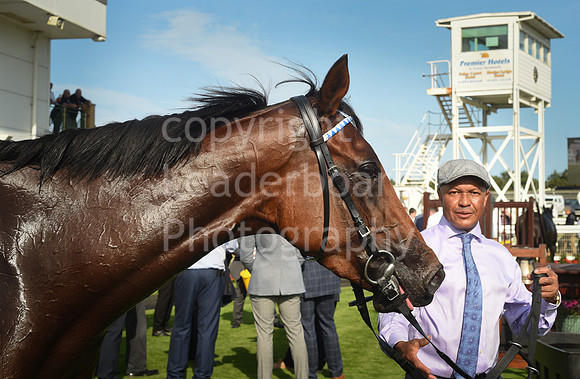 Gt_Yarm_14_Sept_2022-108