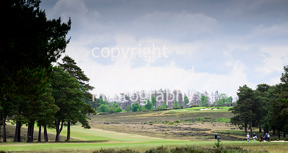 NZ9_4320
