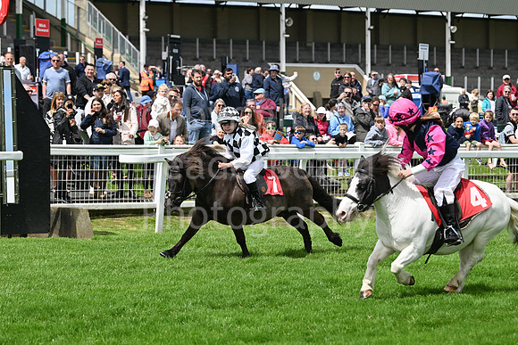 Gt_Yarm_May_27_Shetland_National-36