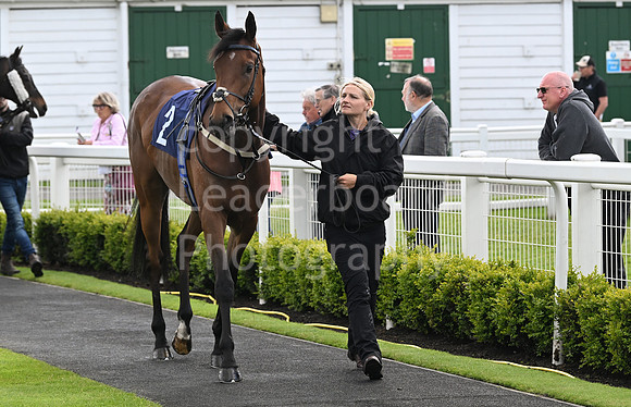 Gt_Yarm_May_22_2024-1