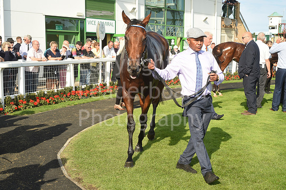 Gt_Yarm_14_Sept_2022-107