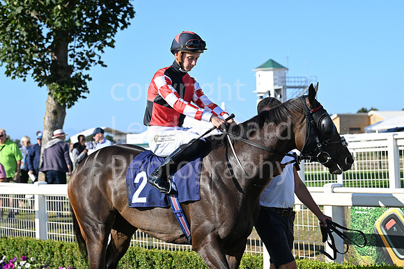 Gt_Yarm_Ladies Night_2025-31