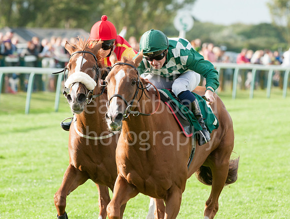 LB_JGYR_August_13_2014__121