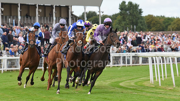 Gt_Yarm_15_Sept_2022-137