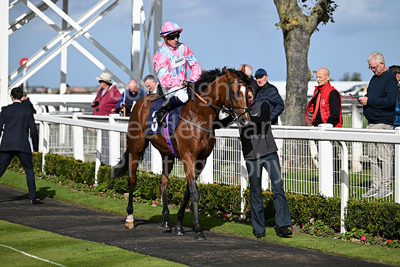 Gt_Yarm_Oct_7_2024-4