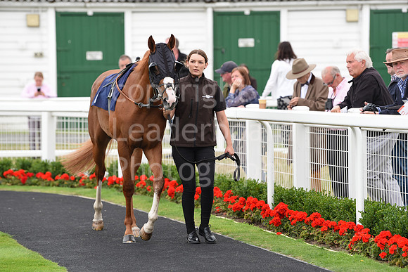 Gt_Yarm_06_July_2022-36