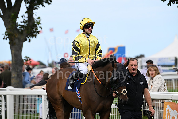 Gt_Yarm_24_Aug_2025-88