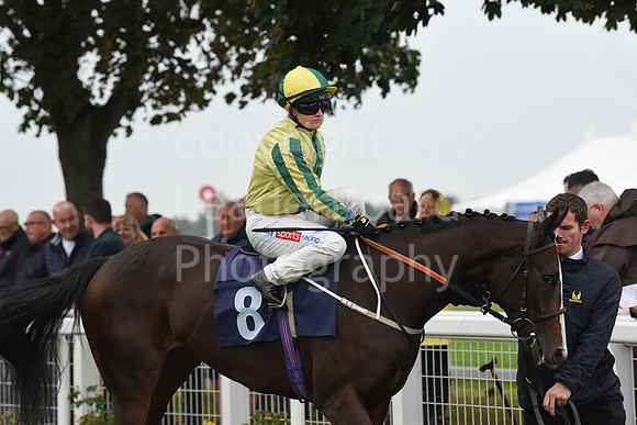 Gt_Yarm_Eastern_Fest_Day_1-50