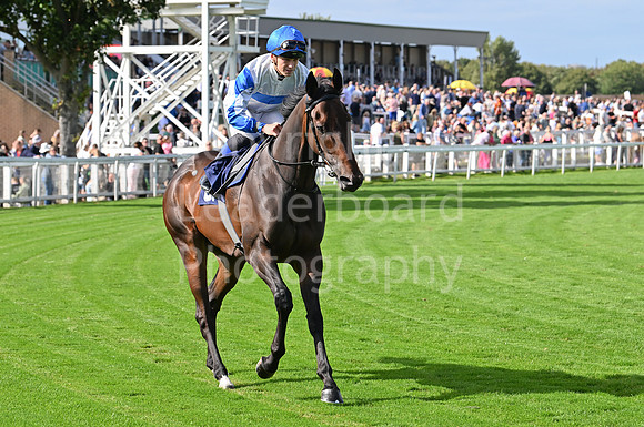 Gt_Yarm_25_Aug_Family_Raceday_2024-144