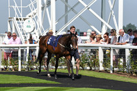 GY_Races_25_July-2