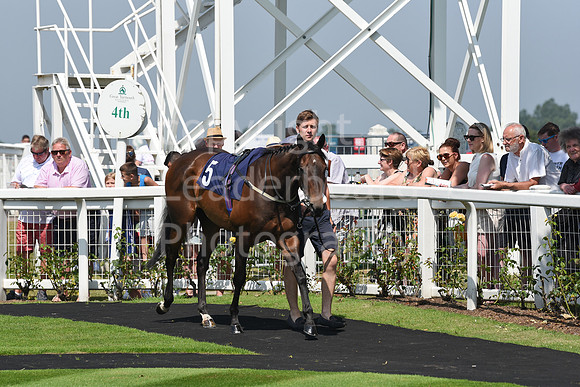 GY_Races_25_July-2