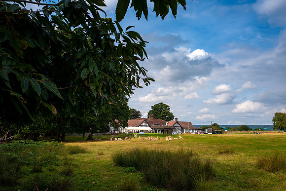 LBP_Champion_Club_Knole-1