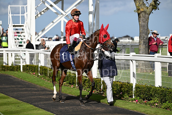 Gt_Yarm_Oct_7_2024-15