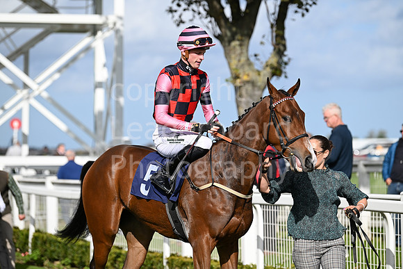 Gt_Yarm_Oct_7_2024-8