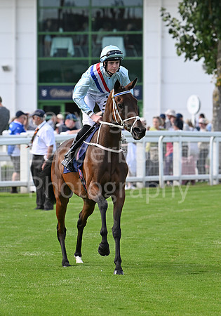 Gt_Yarm_Aug_8_2024-132