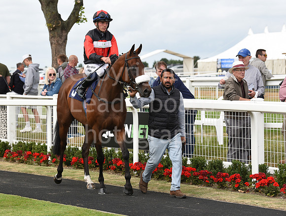 Gt_Yarm_26_July_2022-148
