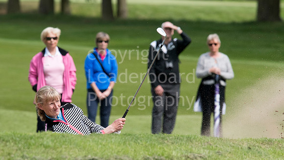 LB_Senior_Women_Staffs_2017_3317