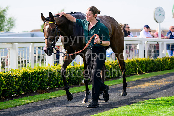 NZ9_5969