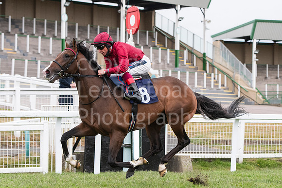 Race_5_Winner