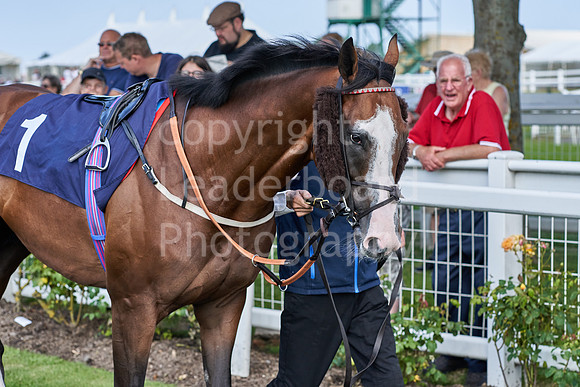 Great Yarmouth  Race Four 11th Aug 2021 0297