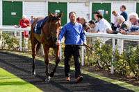 01_GY_Races_20Aug
