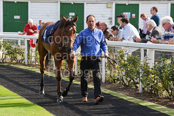 01_GY_Races_20Aug