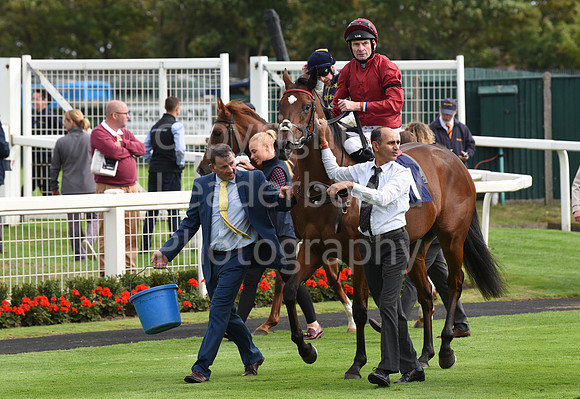 Gt_Yarm_15_Sept_2022-88