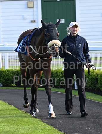 Gt_Yarm_May_22_2024-221