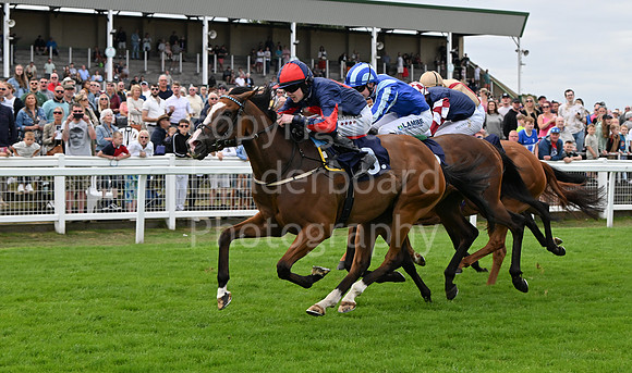 Gt_Yarm_25_Aug_Family_Raceday_2024-210
