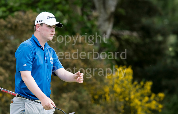 LB_Brabazon_2017_3664