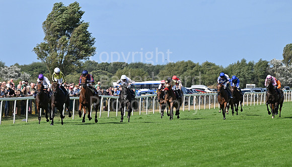 Gt_Yarm_25_Aug_Family_Raceday_2024-62