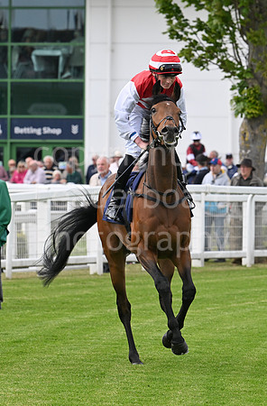 Gt_Yarm_May14_2025-152