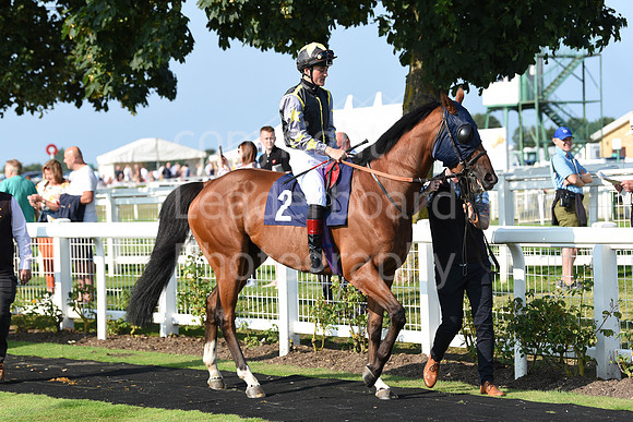 Gt_Yarm_4th_Aug_2021-18