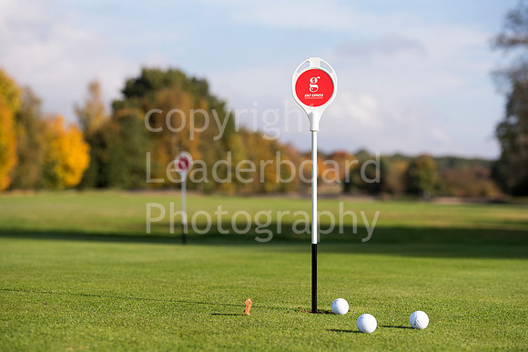 NB_136_Bromley_9_Hole