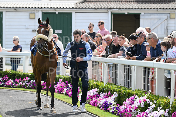 Gt_Yarm_24_Aug_2025-1