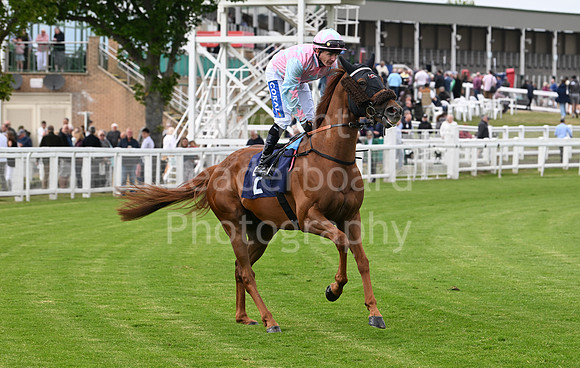 Gt_Yarm_May14_2025-156