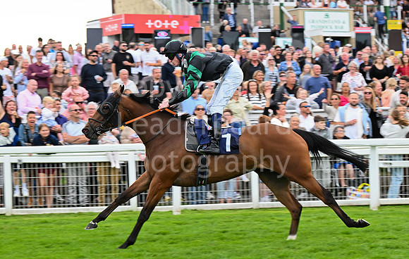 Gt_Yarm_25_Aug_Family_Raceday_2024-251
